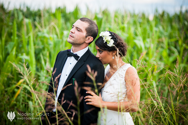 Romance dans la Drôme Provençale